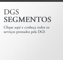 DGS Segmentos